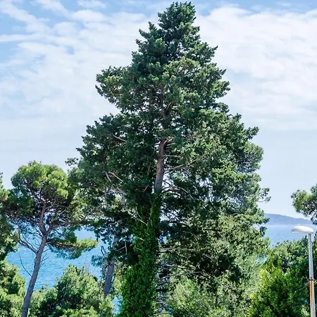Lungo Mare Сasa de vacaciones