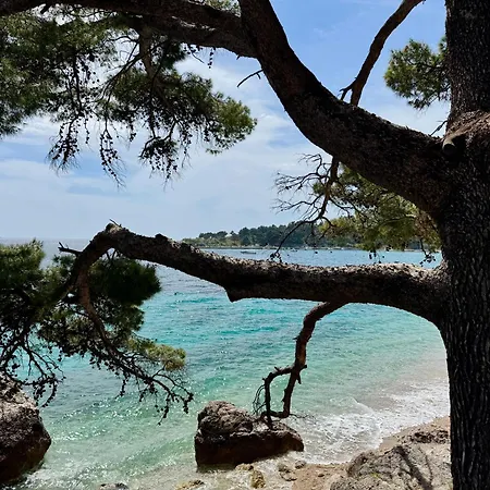 Lungo Mare Mlini