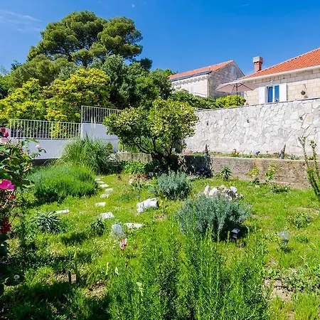 Lungo Mare Сasa de vacaciones Mlini